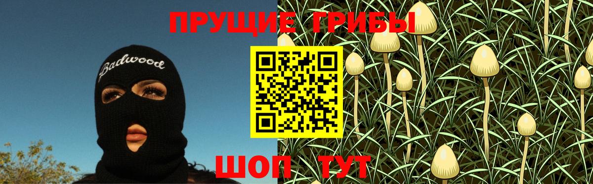 Галлюциногенные грибы Cubensis Ипатово